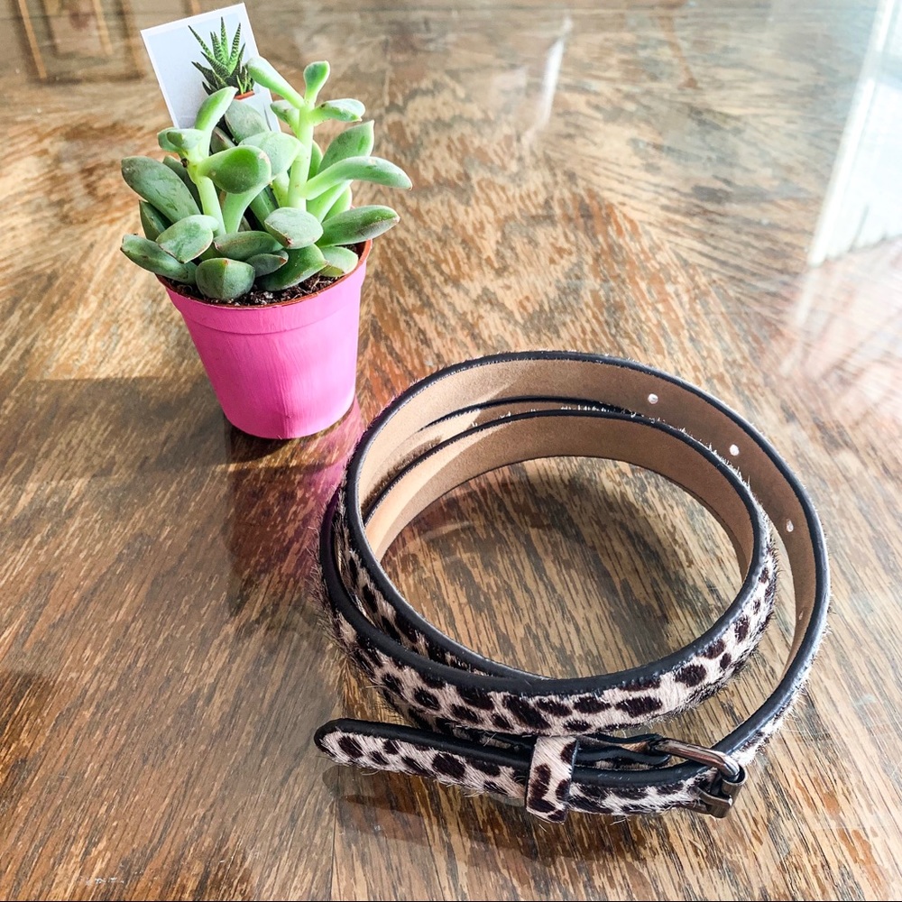 Ann Taylor leopard print belt
